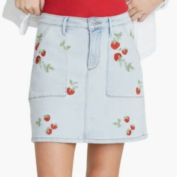 NWT Driftwood Embroidered Mini Skirt size 28 - Picture 1 of 5